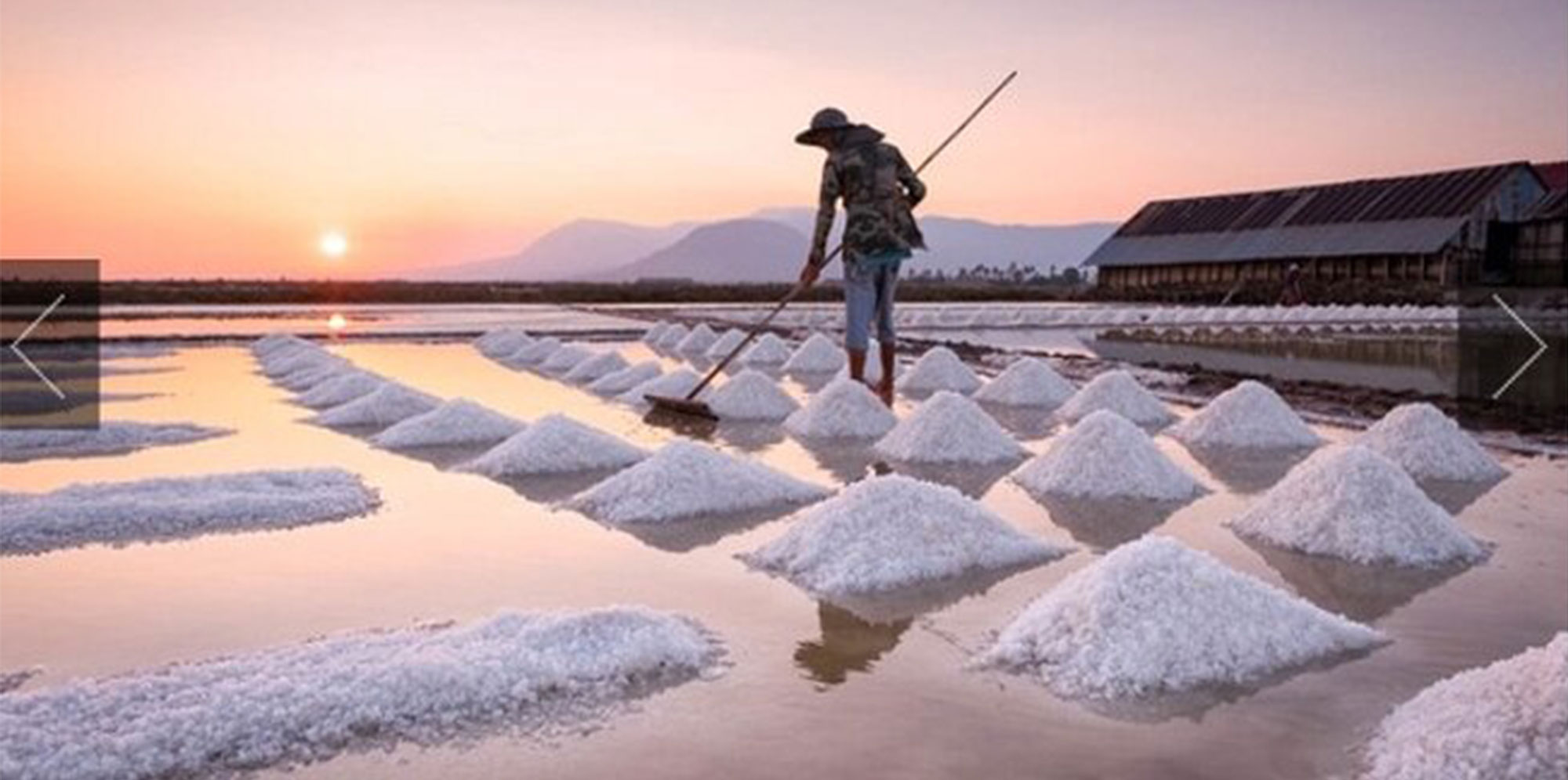 Salt-Field