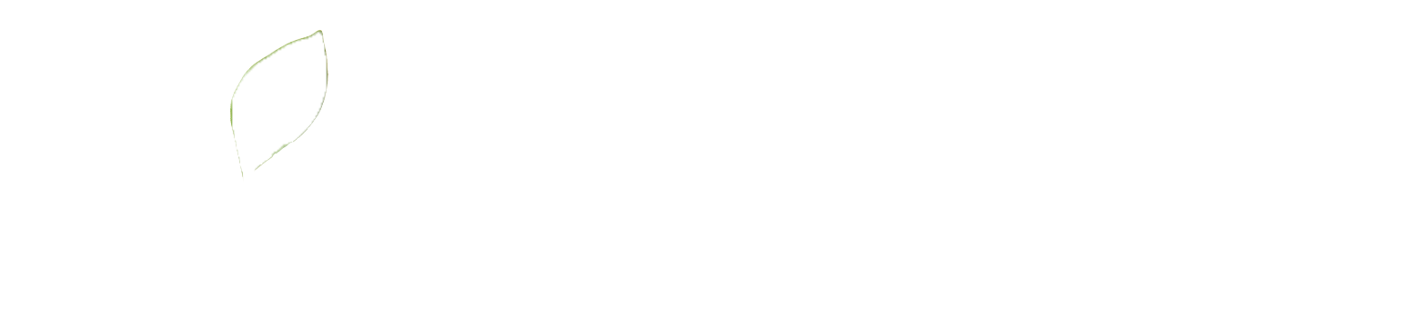 Bring Adventure